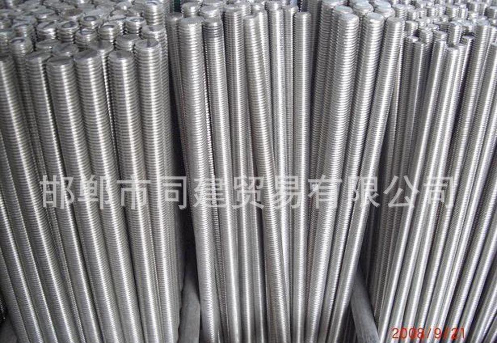 廠家直銷(xiāo) 國(guó)標(biāo)4.8級(jí)絲桿 全扣絲桿全牙螺桿鍍鋅藍(lán)白全牙絲桿