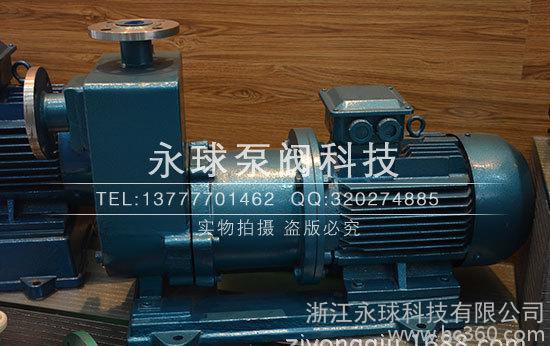 不銹鋼耐腐蝕磁力泵，自吸式磁力泵， 防爆型磁力泵 ZCQ25-20-115