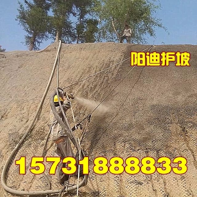 十堰客土噴播，武漢邊坡綠化，湖北山體錨噴，黃石掛網(wǎng)噴漿，荊州混凝土噴漿，陽迪公司